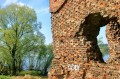 Mury zamku i Wisła