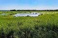 ŚWINOUJŚCIE - Rejs wsteczną deltą Świny