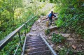 Schody na szlaku w wąwozie Homola