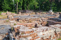 OLESZYCE - Ruiny dworu w parku