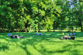 Strefa relaksu w parku