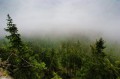 Widok z tarasu - mgła zasłania wszystko