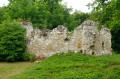 Ruiny mauzoleum Oleśnickich