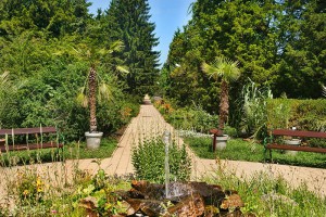 DEBRECZYN - Ogród botaniczny