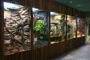 KRAKÓW - Aquarium i Muzeum Przyrodnicze