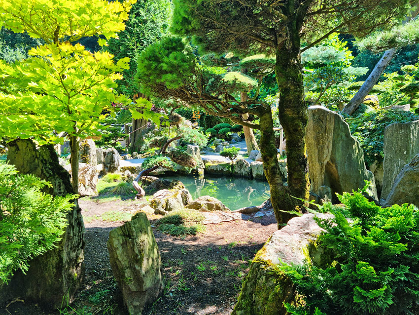 JARKÓW - Ogród Japoński