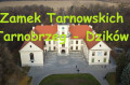 Bols Air Shot - Zamek Tarnowskich w Dzikowie - Tarnobrzeg DJI [4k]