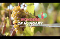 Wonders of Hungary: Tokaj